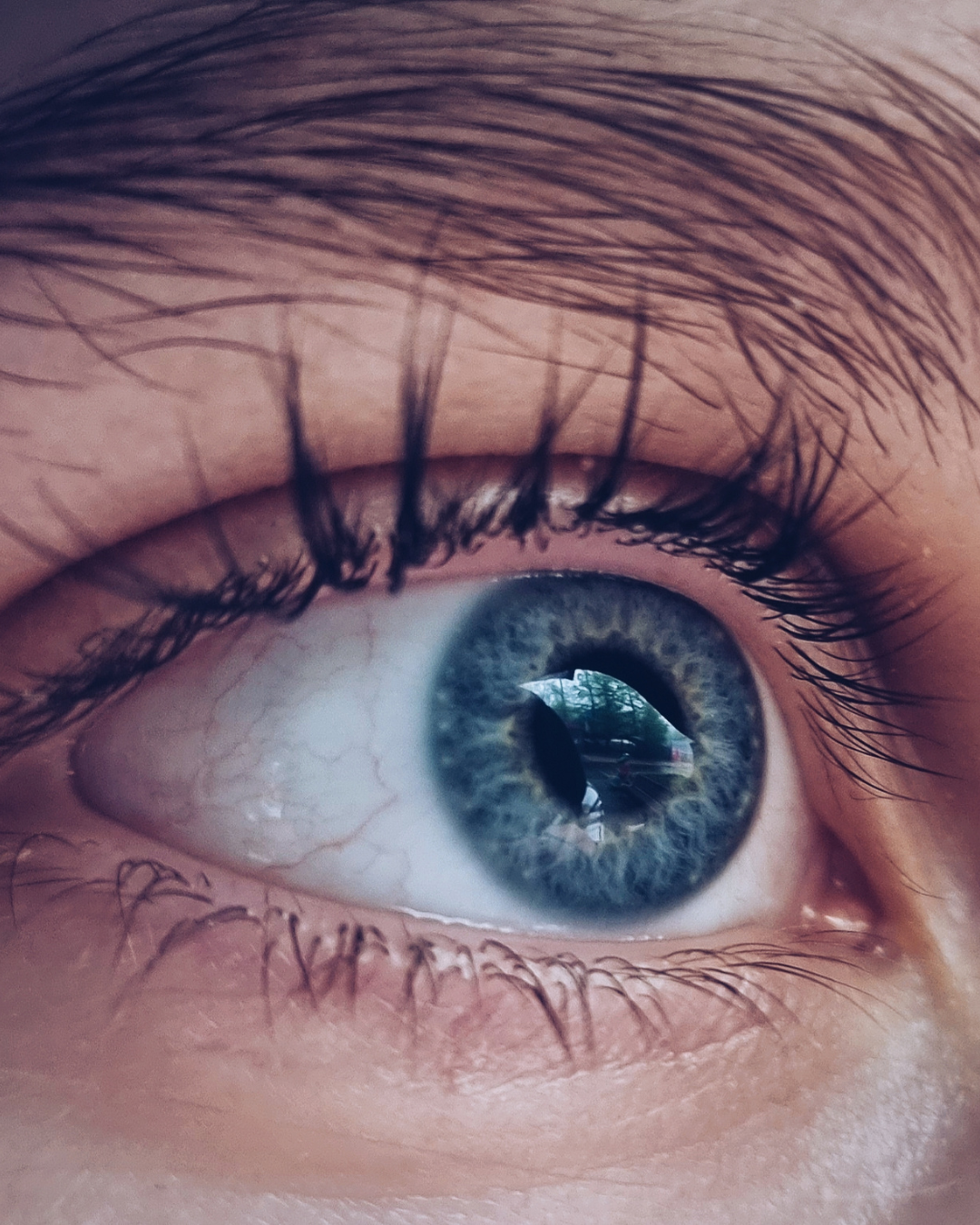 How Human Insight Elevates Your Travel Experience